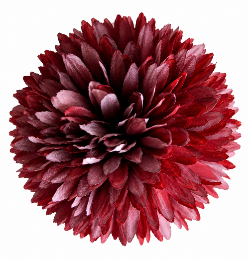 Bordeaux Pompon Tak