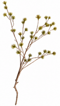 Decoratieve Dracaena Bloemtak – Groen