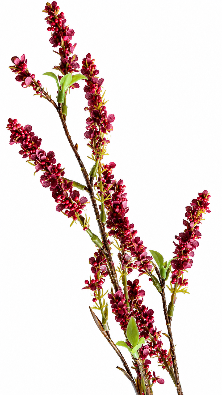Titel: Kunsttak Blossom Bordeaux