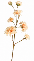 Dahlia Bloemtak – Zacht Perzik/beige