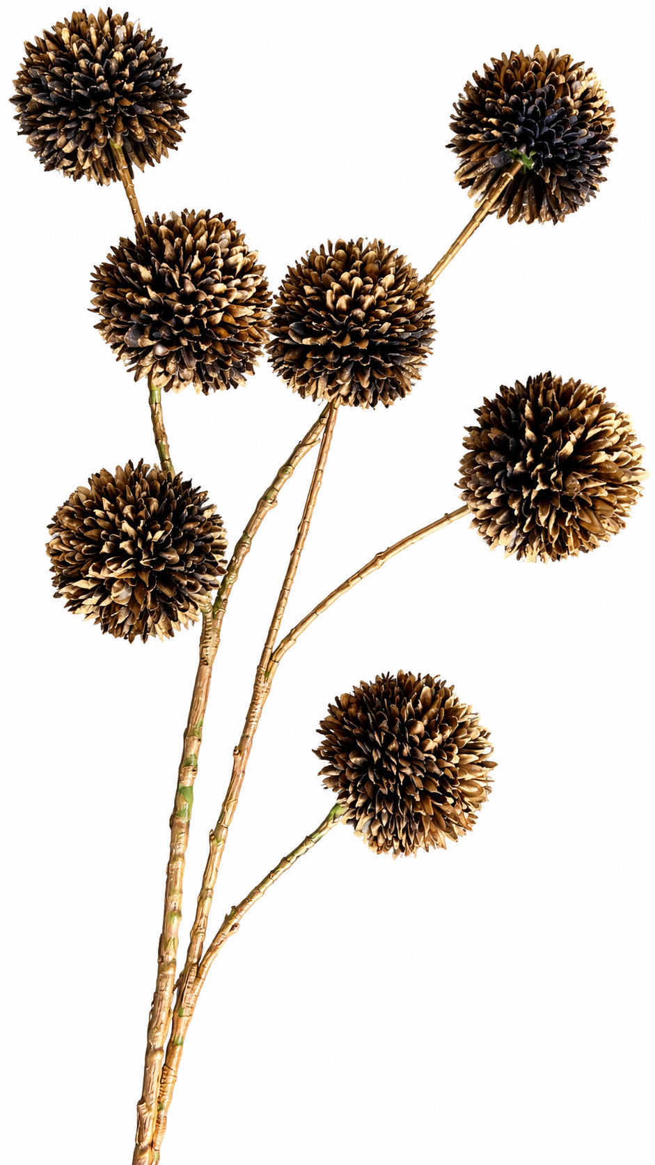 Titel: Decoratieve Pompon Tak – Goud/Bruin