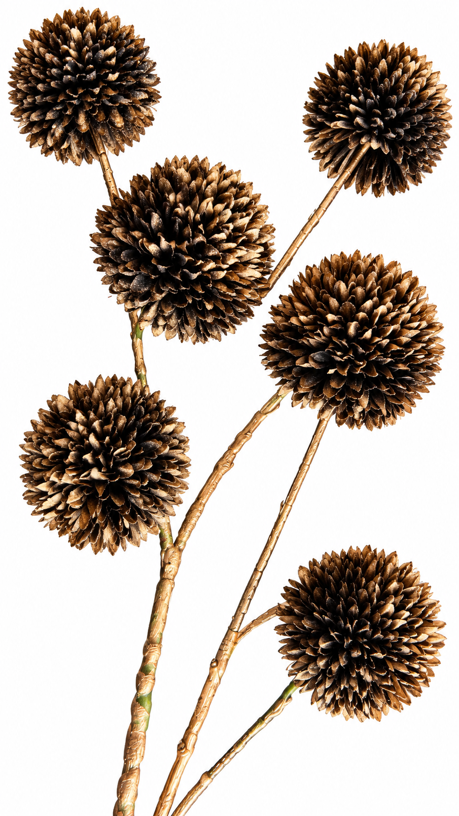 Titel: Decoratieve Pompon Tak – Goud/Bruin