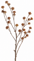 Siertak Botanica Roestbruin