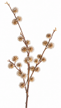 Botanische Siertak Crème