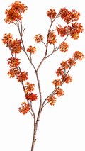 Warme Herfst Bloesemtak – Oranje