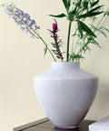 Vaas Kagera (vase the world)