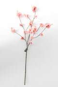 Bloesem roze