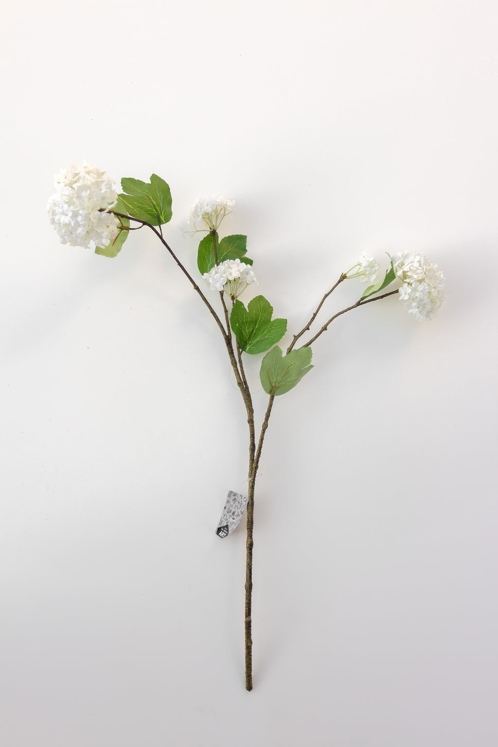 Virbunum