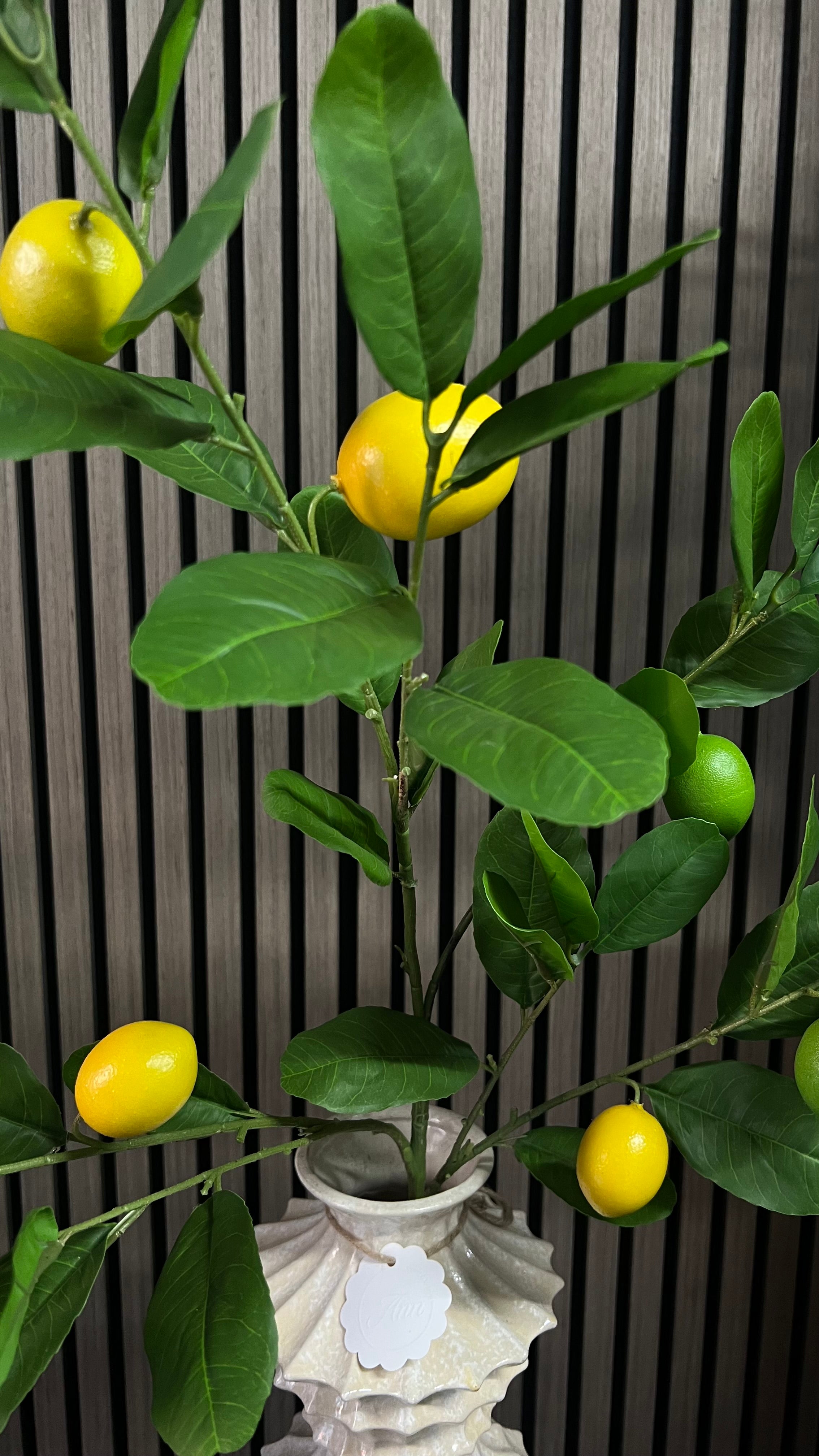 Kunsttak Citroen – Mediterrane Sfeer in Huis