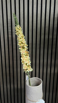 Kunsttak Eremurus Crème – Elegante Hoogte en Sfeer