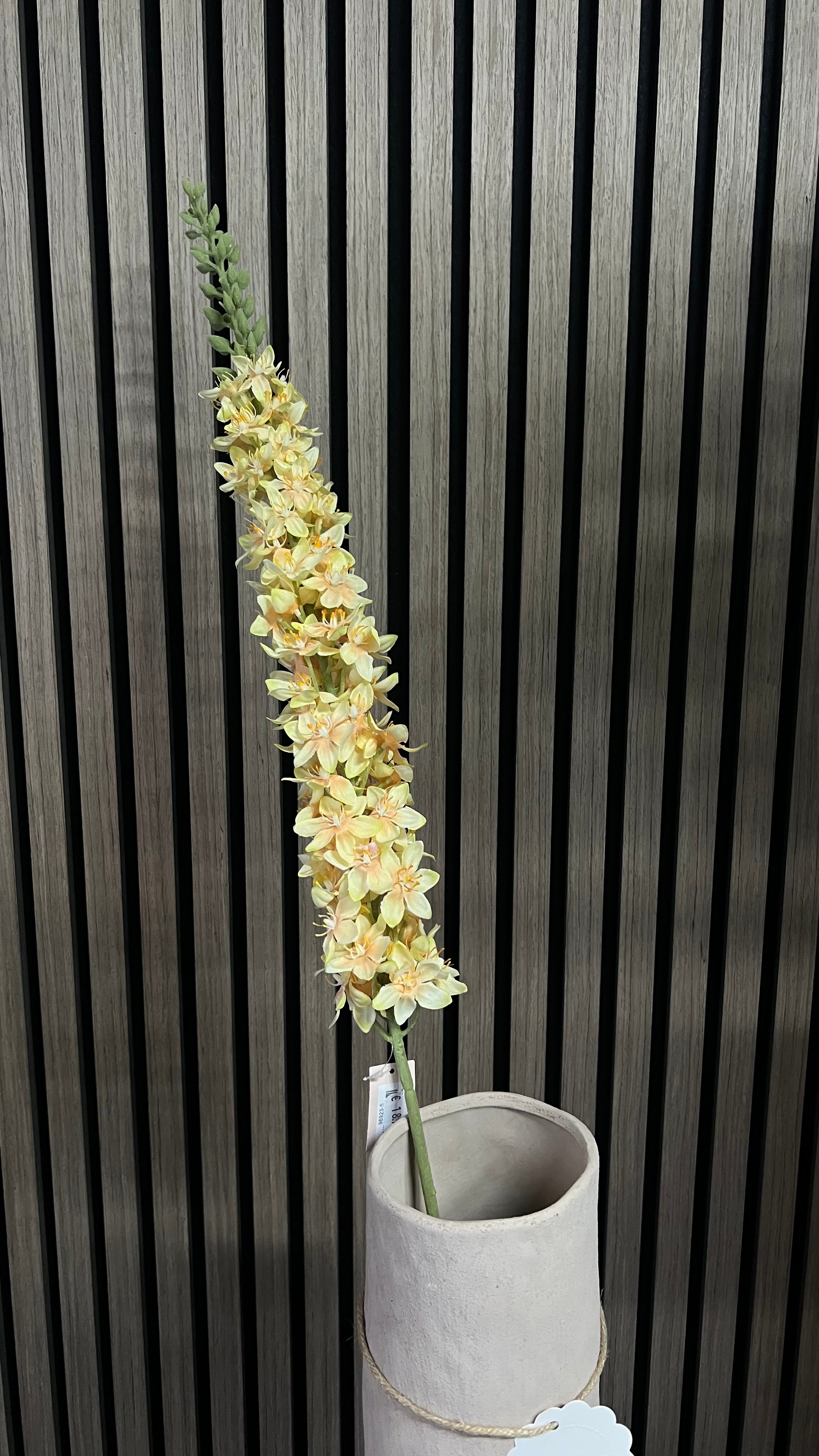 Kunsttak Eremurus Crème – Elegante Hoogte en Sfeer