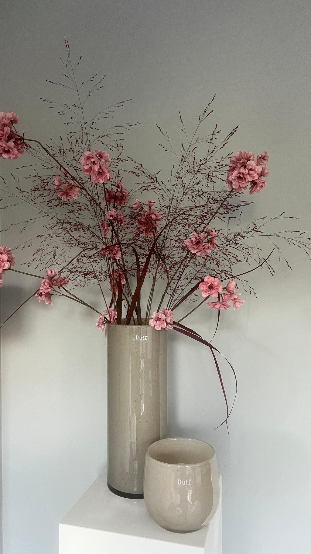 Prunus Tak – Old Pink | 126 cm
