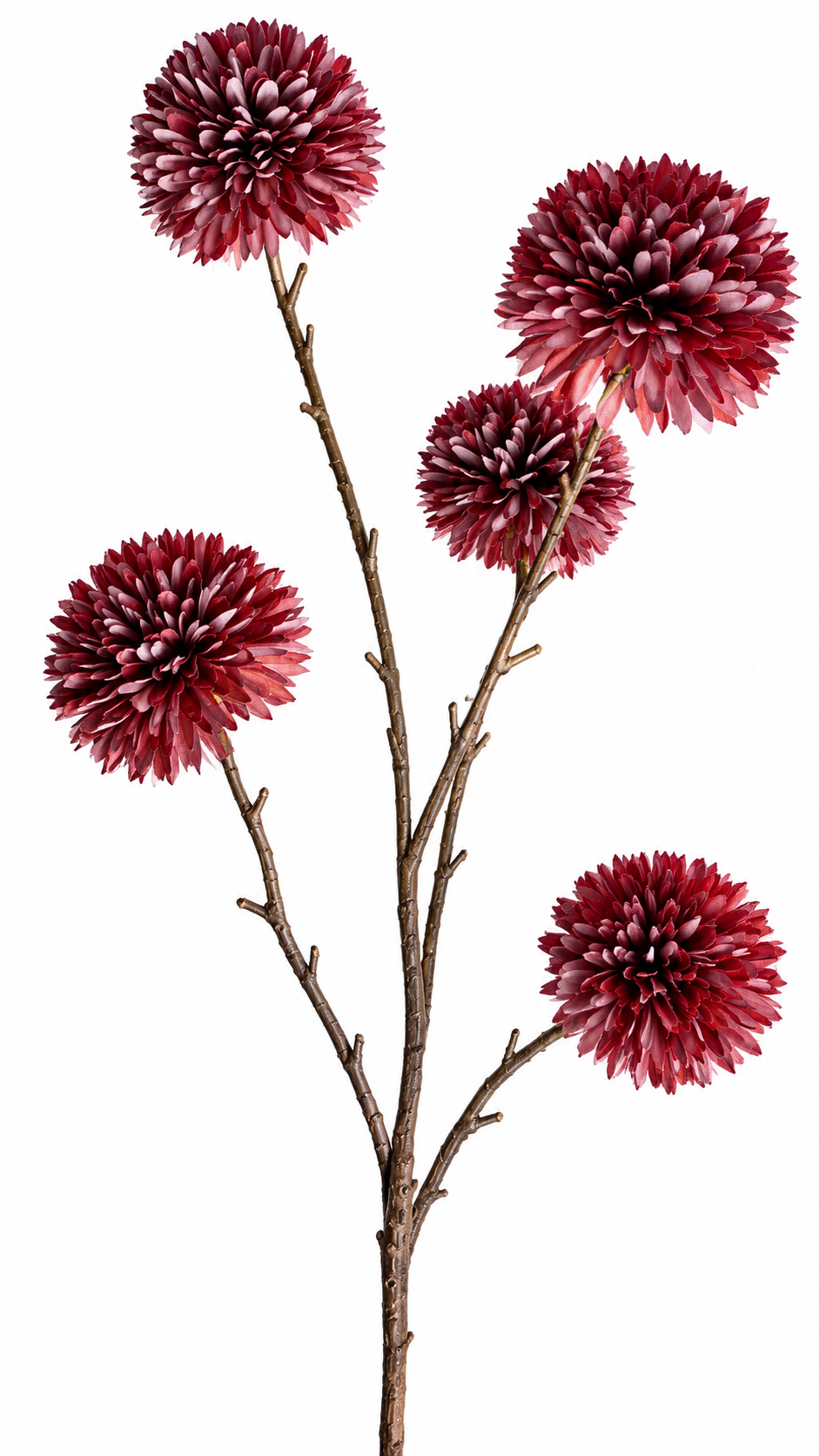 Bordeaux Pompon Tak