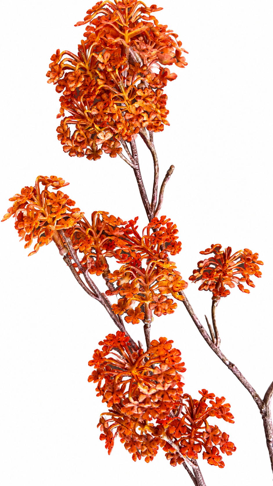 Warme Herfst Bloesemtak – Oranje