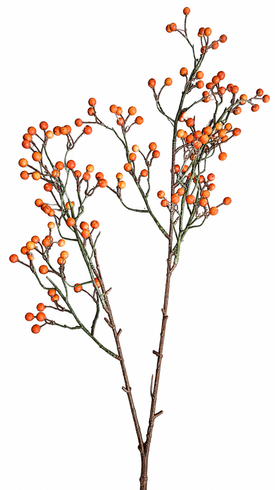 Decoratieve Bessentak Oranje – Natuurlijke Look